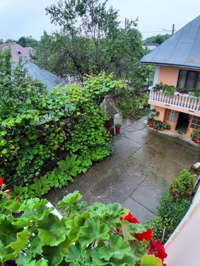 Pensiunea Covaciu Vadu Izei Luaran gambar