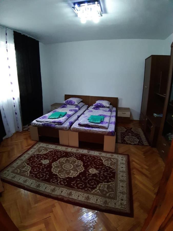Pensiunea Covaciu Vadu Izei Luaran gambar