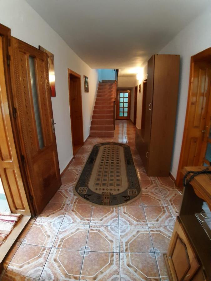 Pensiunea Covaciu Vadu Izei Luaran gambar