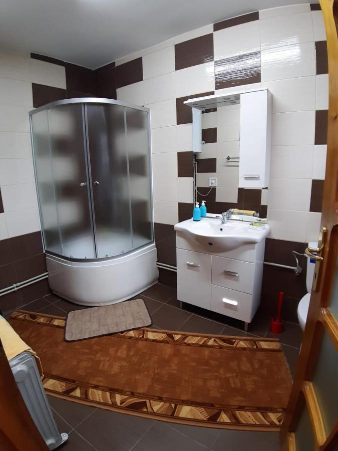 Pensiunea Covaciu Vadu Izei Luaran gambar
