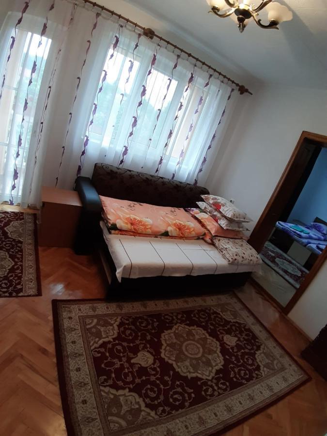 Pensiunea Covaciu Vadu Izei Luaran gambar