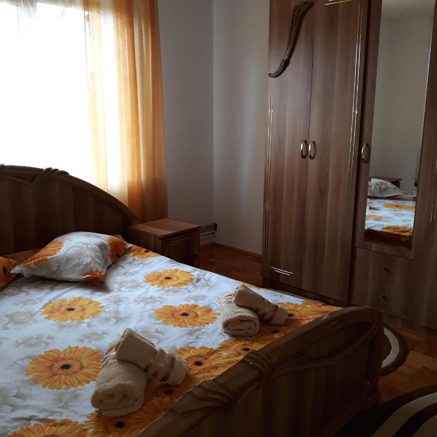 Pensiunea Covaciu Vadu Izei Luaran gambar