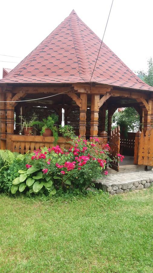 Pensiunea Covaciu Vadu Izei Luaran gambar