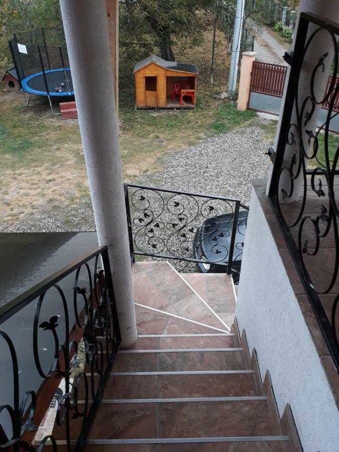 Pensiunea Covaciu Vadu Izei Luaran gambar